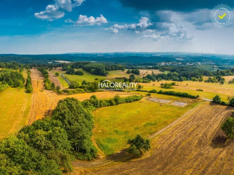 HALO reality - Predaj, pozemok pre rodinný dom 6791 m2 Krupina - ...