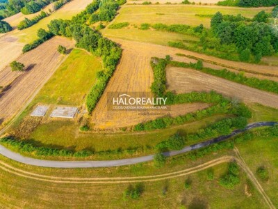 HALO reality - Predaj, pozemok pre rodinný dom 6791 m2 Krupina - ...