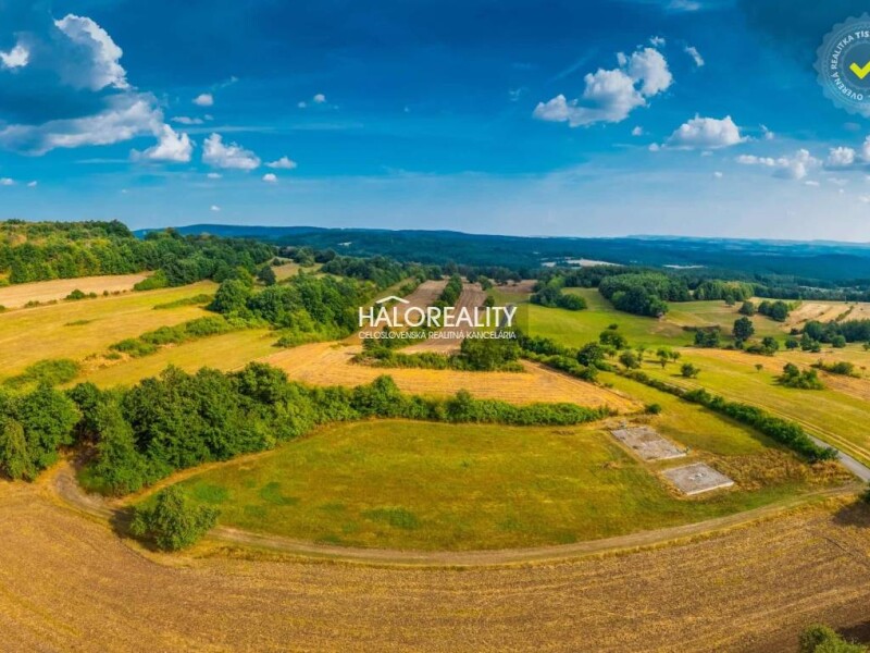 HALO reality - Predaj, pozemok pre rodinný dom 6791 m2 Krupina - ...