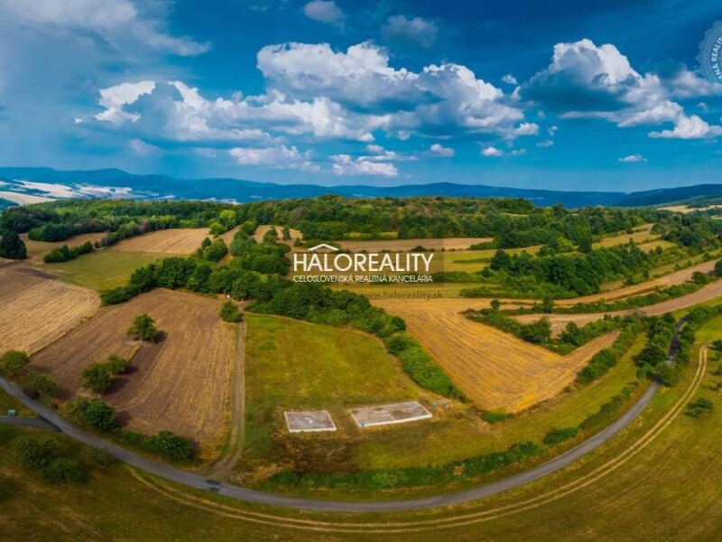 HALO reality - Predaj, pozemok pre rodinný dom 6791 m2 Krupina - ...