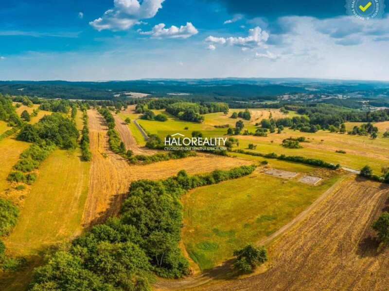 HALO reality - Predaj, pozemok pre rodinný dom 6791 m2 Krupina - ...