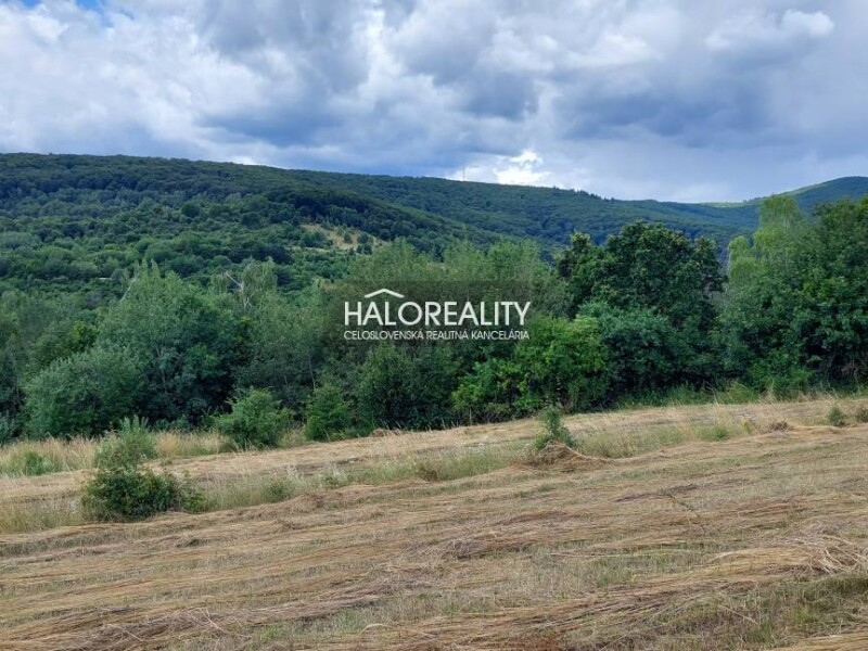 HALO reality - Prenájom, priestor Košice Kavečany, POZEMOK - EXKLUZ...