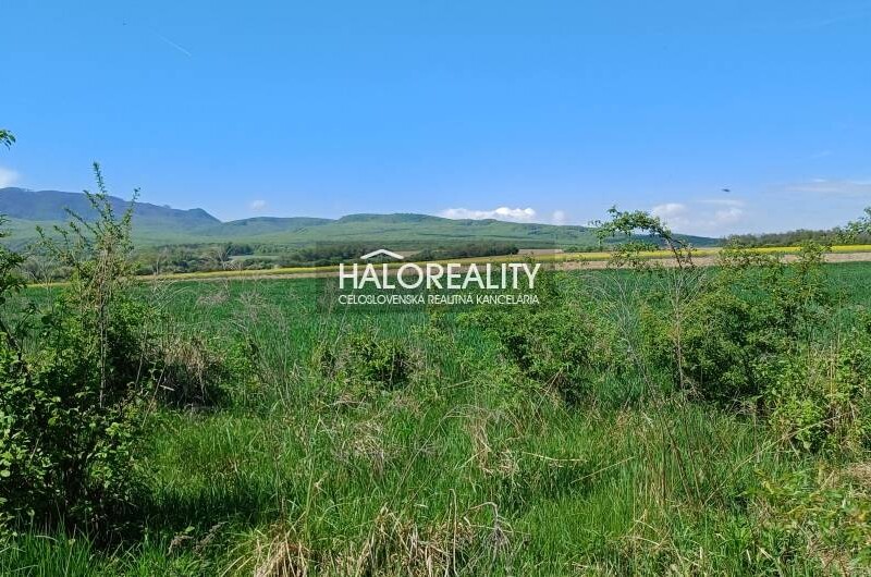 HALO reality - Predaj, záhradný pozemok 4849 m2 Brezina