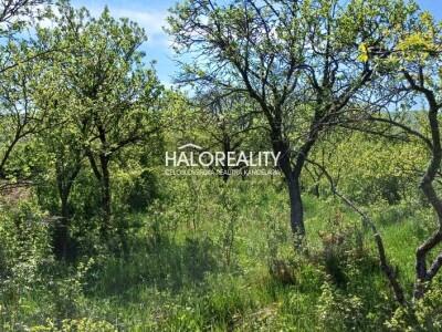 HALO reality - Predaj, záhradný pozemok 4849 m2 Brezina