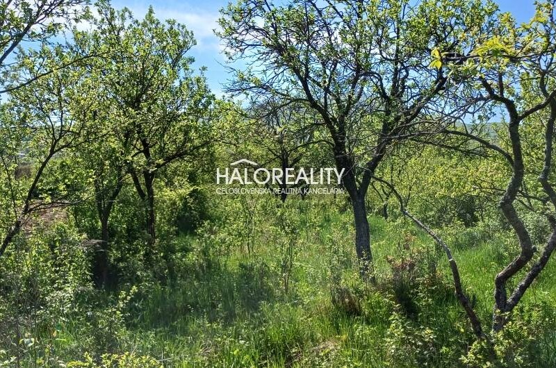 HALO reality - Predaj, záhradný pozemok 4849 m2 Brezina