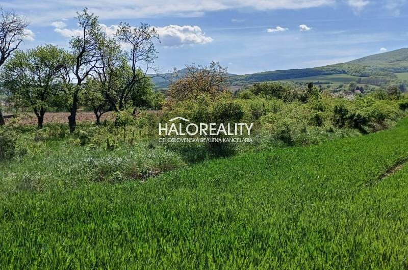 HALO reality - Predaj, záhradný pozemok 4849 m2 Brezina