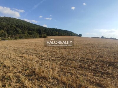 HALO reality - Predaj, pozemok pre rodinný dom 2884 m2 Horná Ves,...