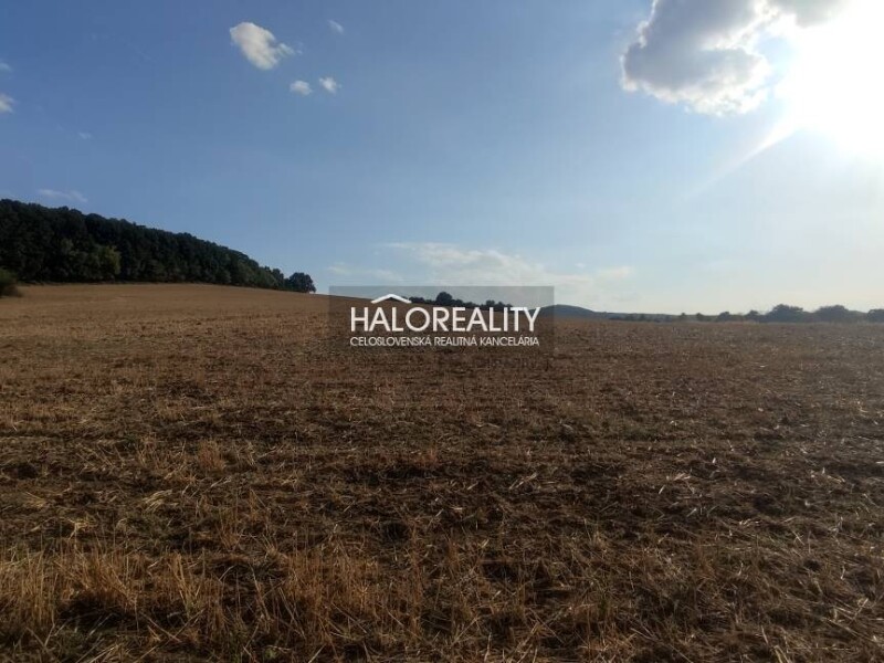 HALO reality - Predaj, pozemok pre rodinný dom 2884 m2 Horná Ves,...