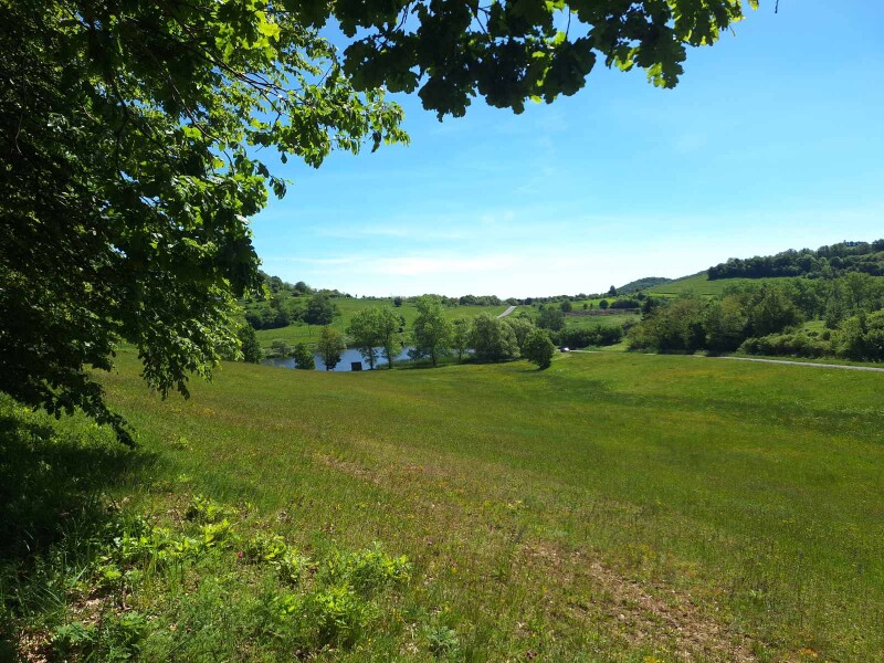 Pozemky Hrušov- Veľký Krtíš – 40 797 m2 - 1/1