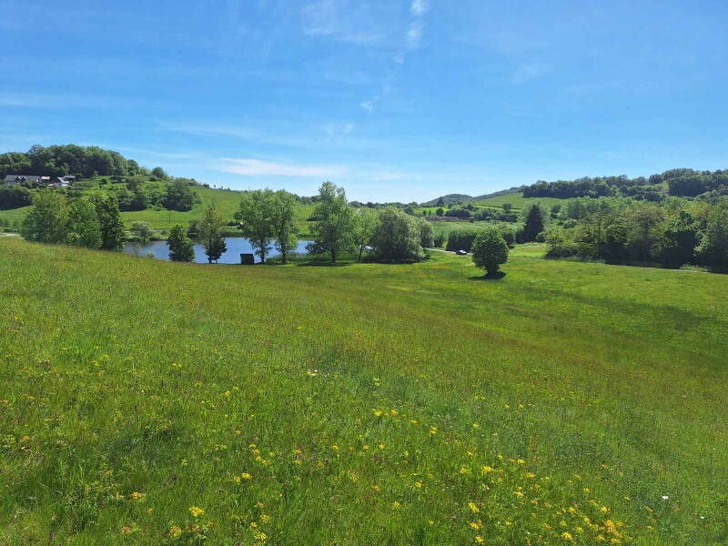 Pozemky Hrušov- Veľký Krtíš – 40 797 m2 - 1/1