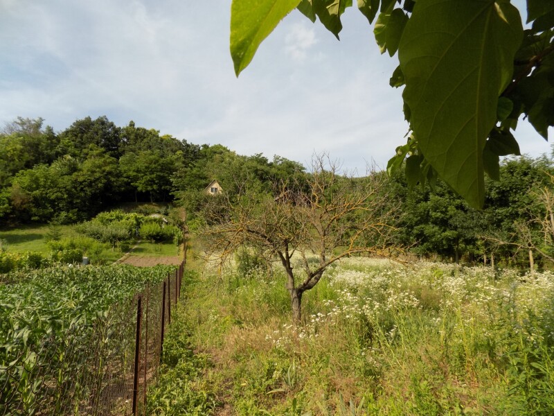 Na predaj 4 izb. dom pri Štúrove len 6 km v obci Kamenica nad Hronom