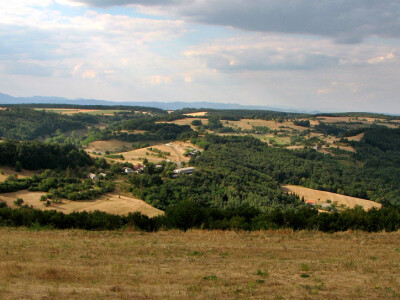 Pozemok (3,1ha) na Hrušove s panoramatickým výhľadom.