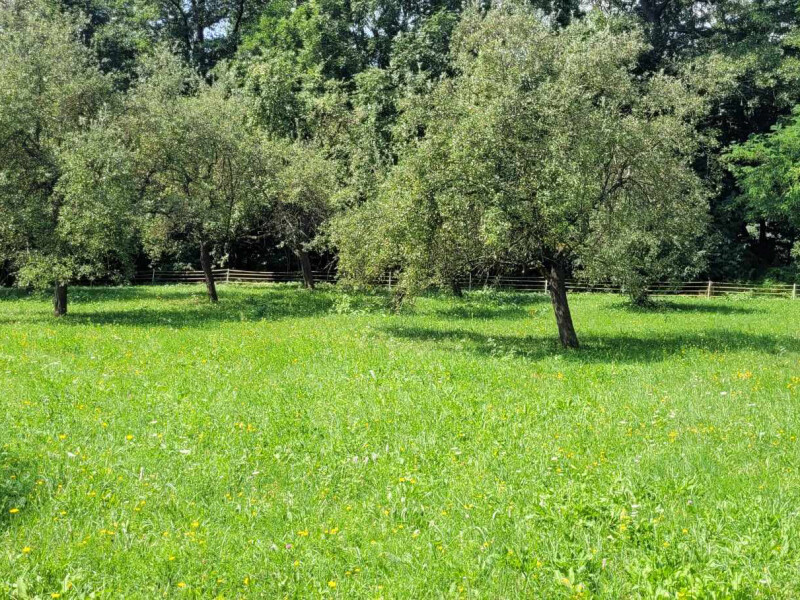 Rodinný dom na veľkom pozemku (1ha) priamo vo Veľkom Krtíši.