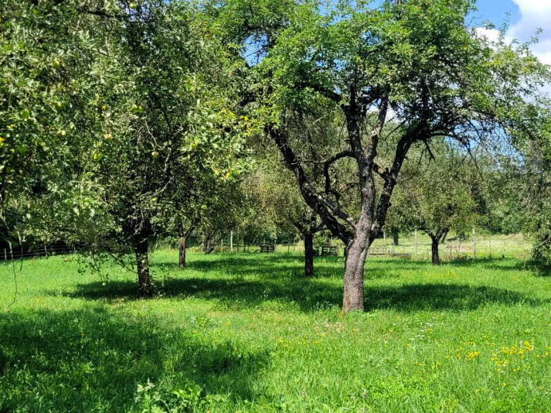 Rodinný dom na veľkom pozemku (1ha) priamo vo Veľkom Krtíši.