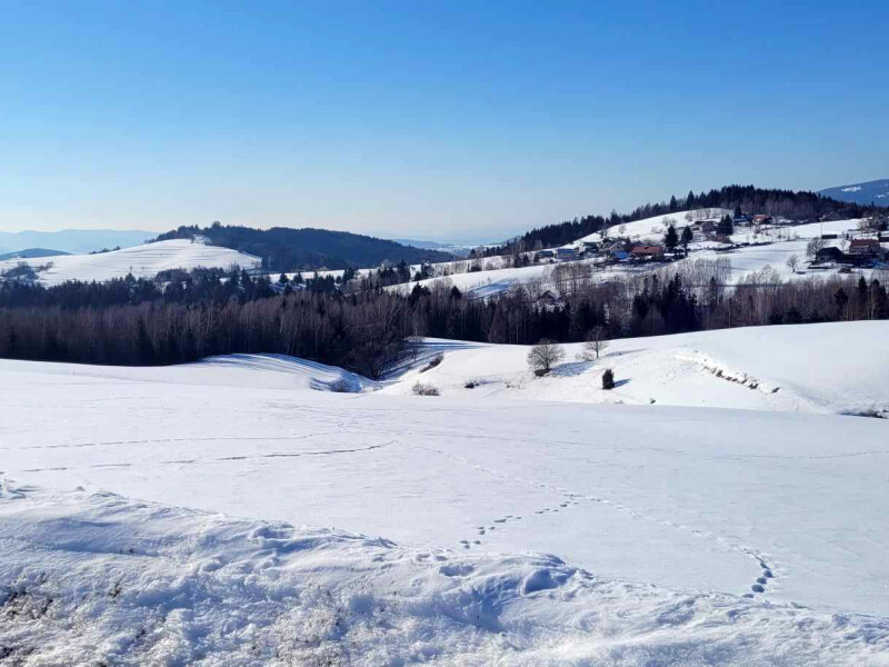 Krásny pozemok v katastri obce Detvianska Huta s výmerou 7750m2.