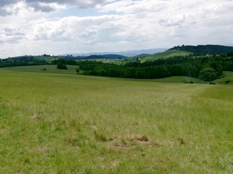 Krásny pozemok v katastri obce Detvianska Huta s výmerou 7750m2.