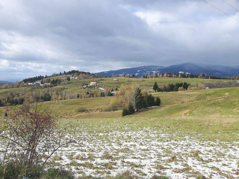 Krásny pozemok v katastri obce Detvianska Huta s výmerou 7750m2.