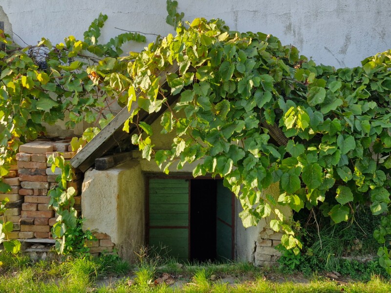 Storočný rodinný dom v obci Malý Krtíš.