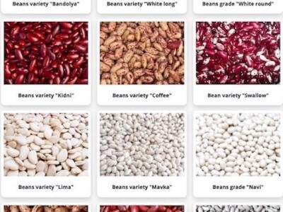 High-quality beans of various varieties