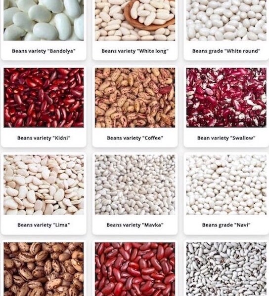 High-quality beans of various varieties